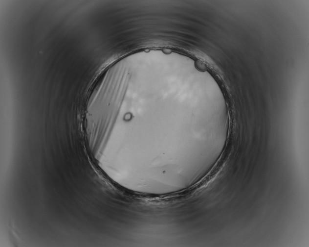 X0000086980945200705071414