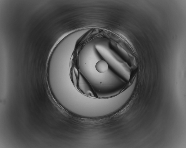 X0000086980948200705071414