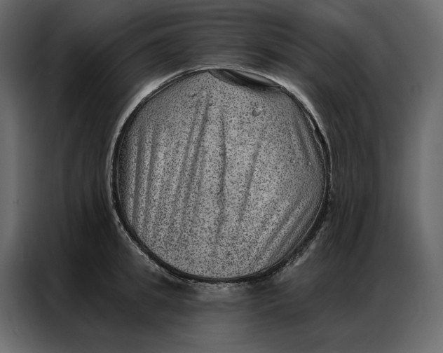 X0000086980949200705071414