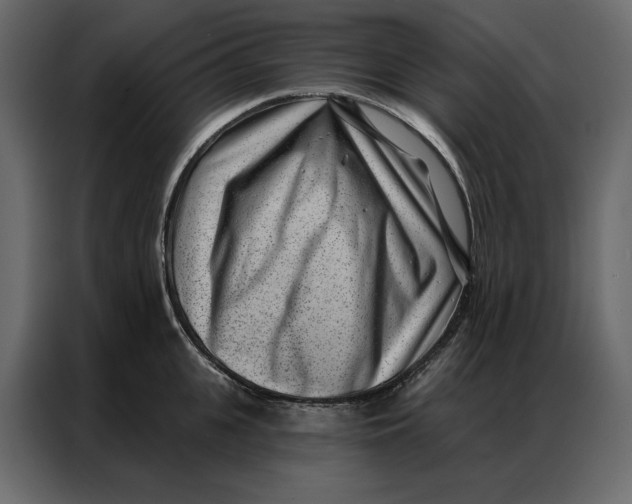 X0000086980951200705071414