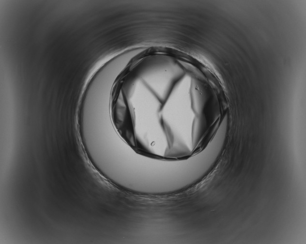 X0000086980952200705071414