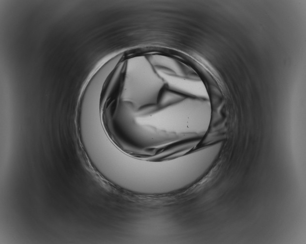 X0000086980956200705071414