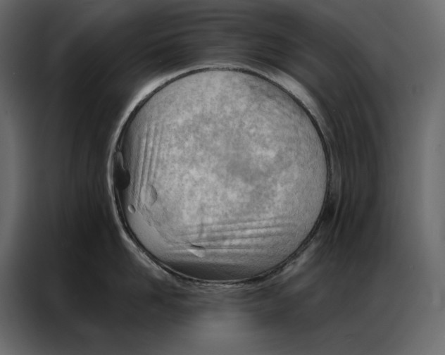 X0000086980958200705071414