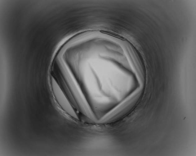 X0000086980960200705071414