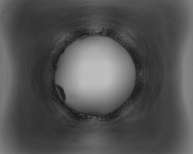 X0000086980961200705071413