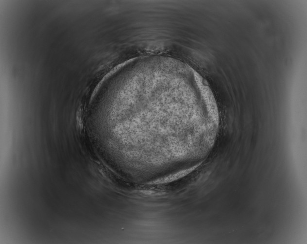 X0000086980962200705071413