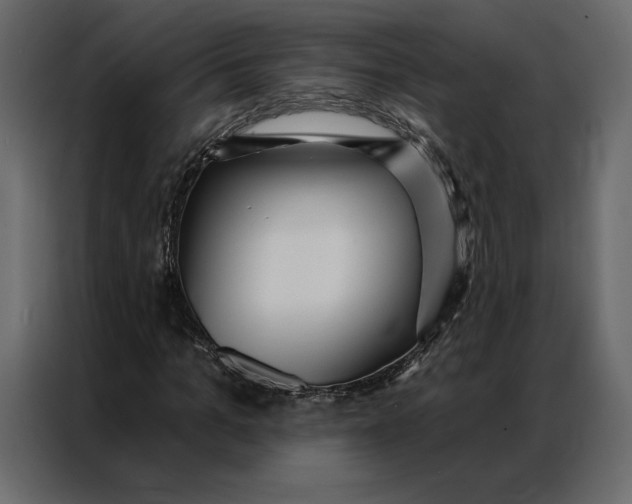 X0000086980965200705071413