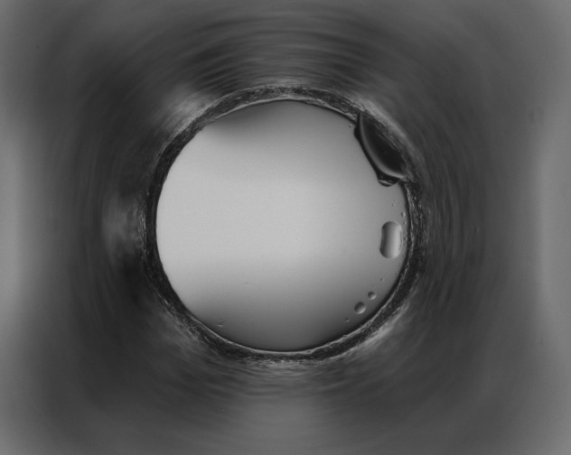 X0000086980969200705071413