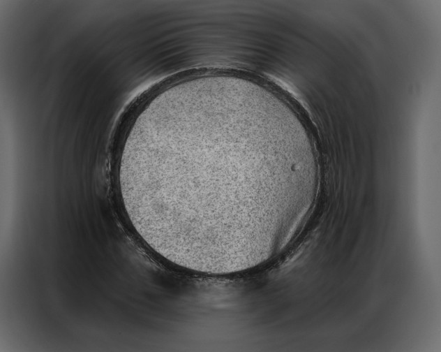 X0000086980971200705071413