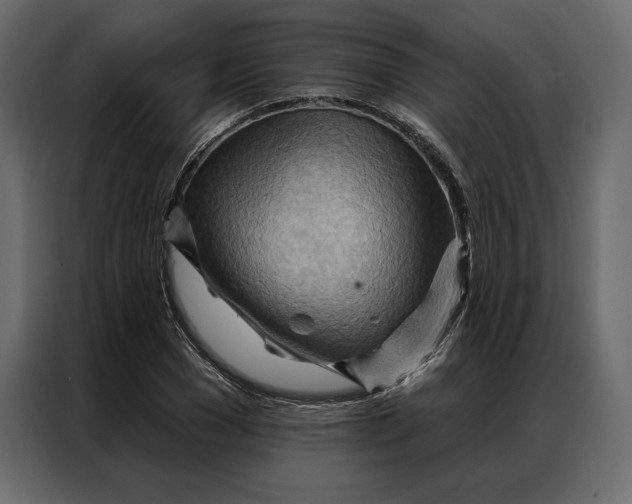 X0000086980977200705071413