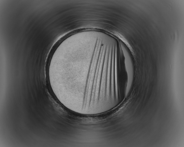 X0000086980980200705071413