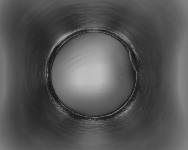 X0000086980981200705071413