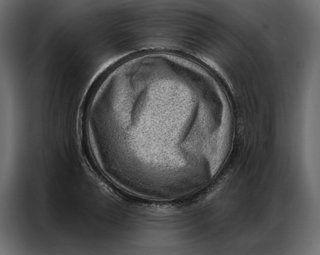 X0000086980983200705071413