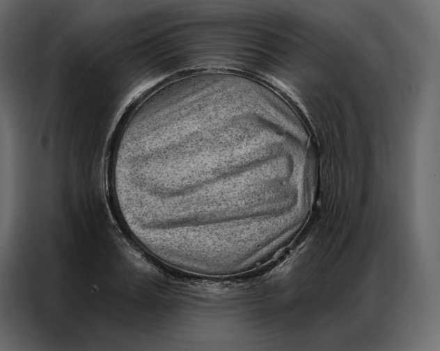 X0000086980987200705071413