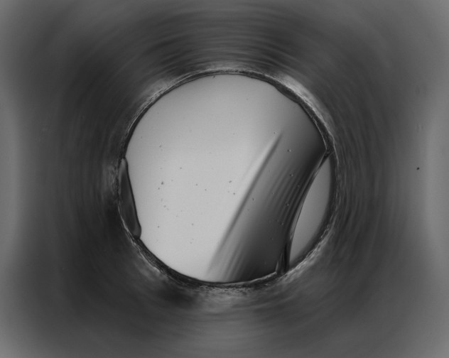 X0000086980993200705071413