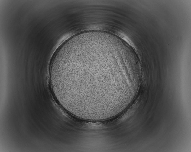 X0000086980994200705071413