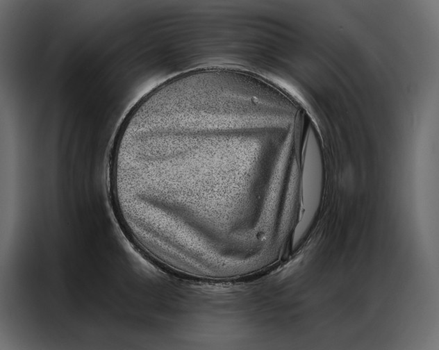 X0000086980999200705071413