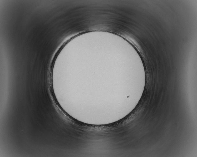 X0000086981000200705071413