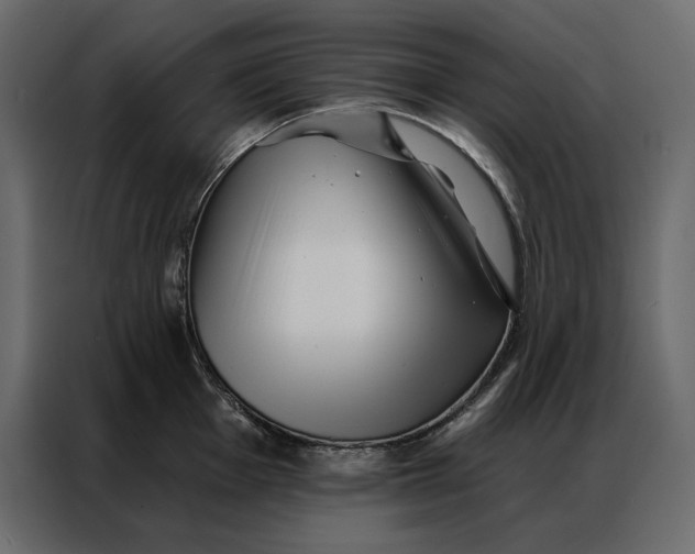 X0000086981001200705071413