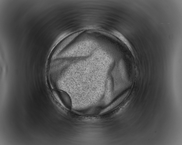 X0000086981002200705071413