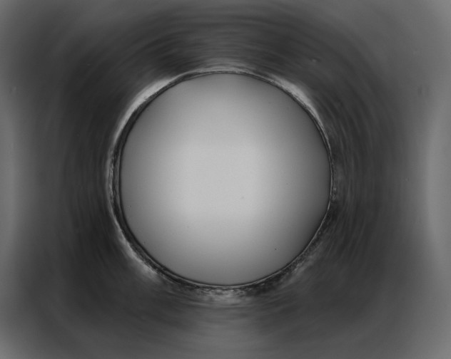 X0000086981003200705071413