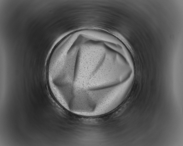 X0000086981004200705071413