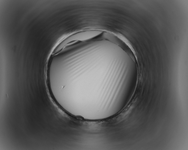 X0000086981005200705071413