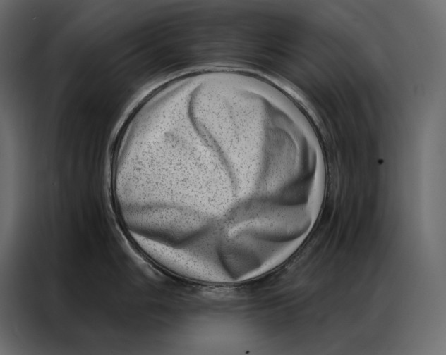 X0000086981006200705071413