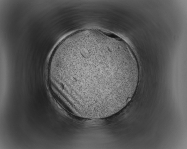 X0000086981008200705071413