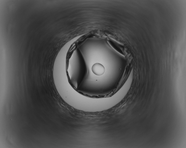 X0000086981010200705071412