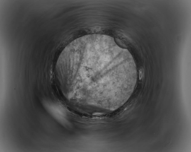 X0000086981011200705071412