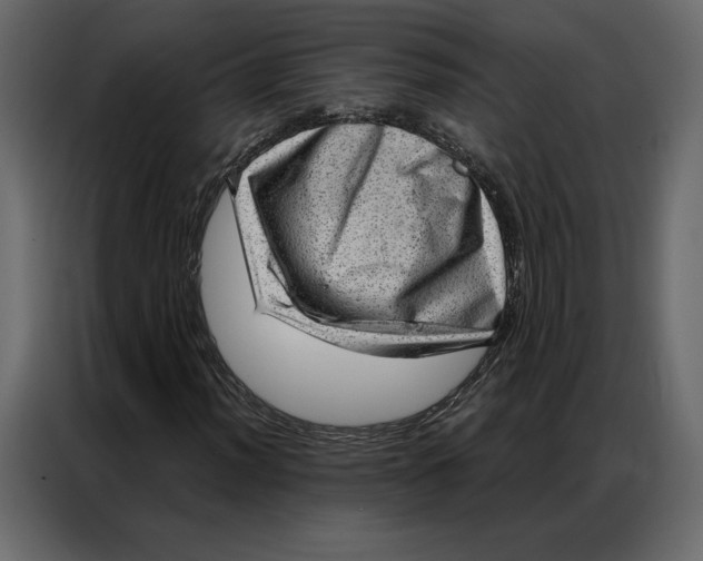 X0000086981012200705071412