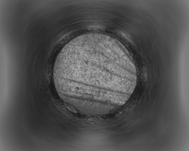 X0000086981015200705071412