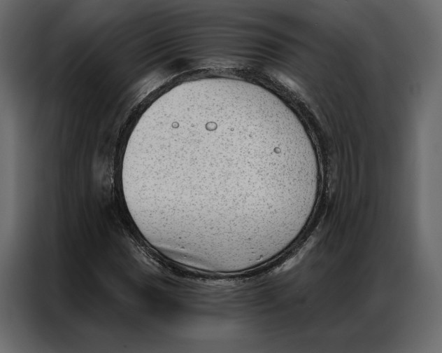 X0000086981017200705071412