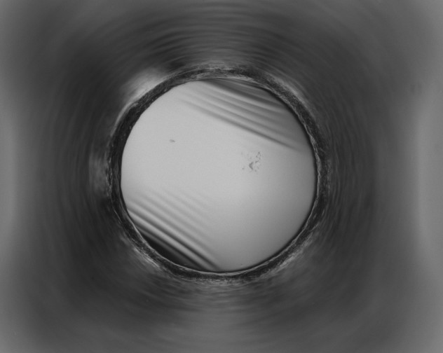 X0000086981018200705071412