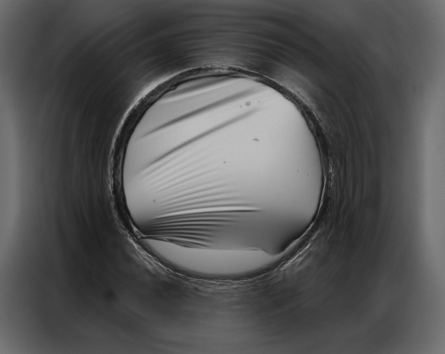 X0000086981020200705071412