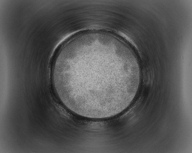 X0000086981021200705071412