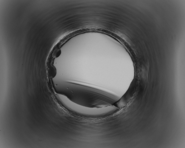 X0000086981022200705071412