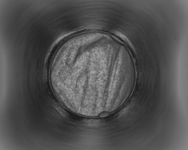 X0000086981027200705071412