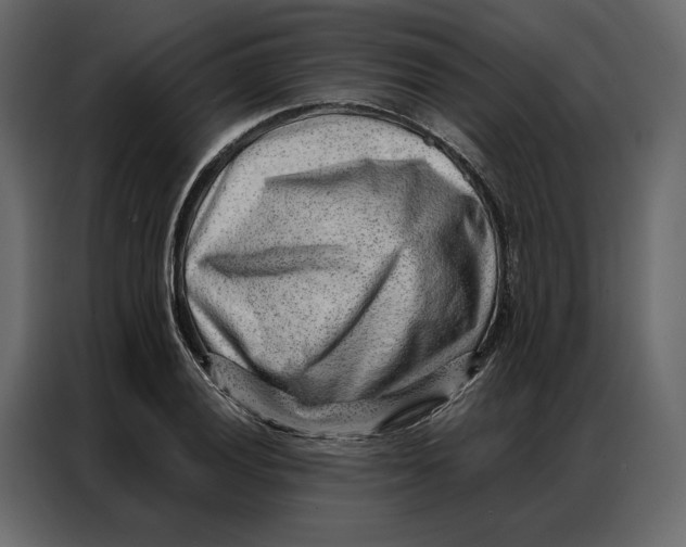 X0000086981028200705071412