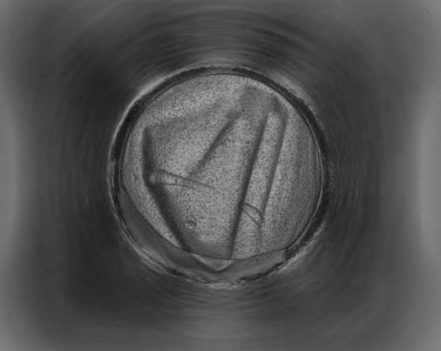 X0000086981029200705071412