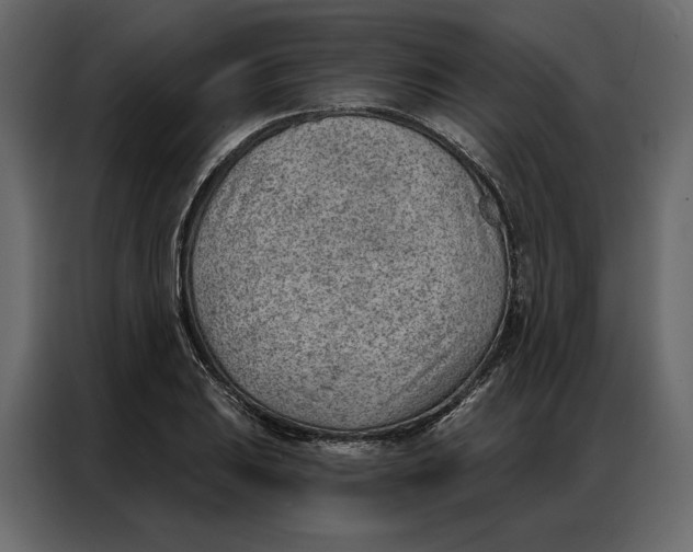 X0000086981031200705071412