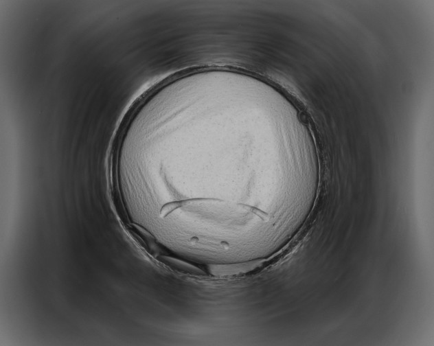 X0000086981032200705071412