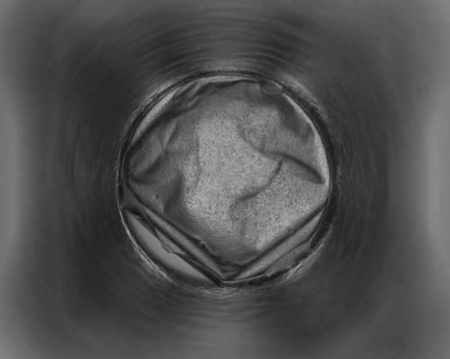 X0000086981033200705071412