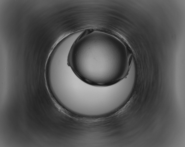 X0000086981034200705071412