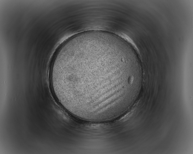 X0000086981035200705071413