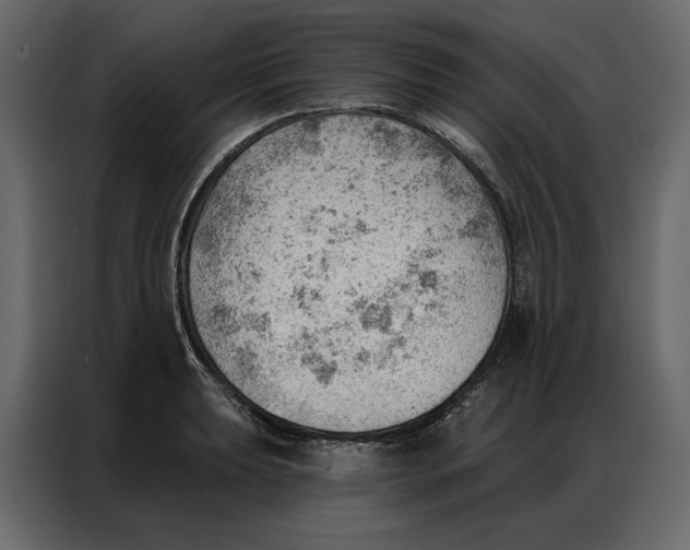 X0000086981039200705071413