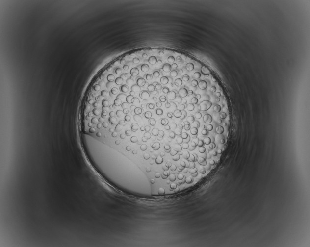 X0000086981040200705071413