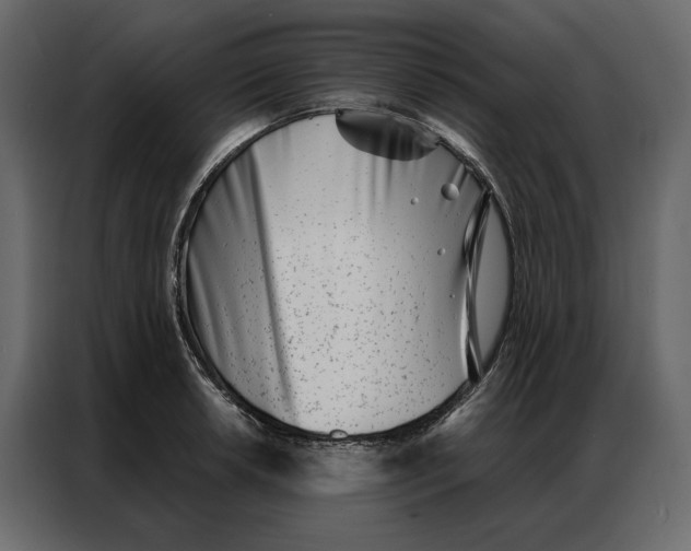 X0000086981042200705071413