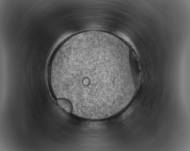 X0000086981043200705071413